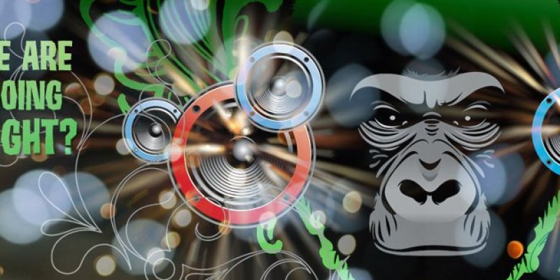 Live Music at The Jungle