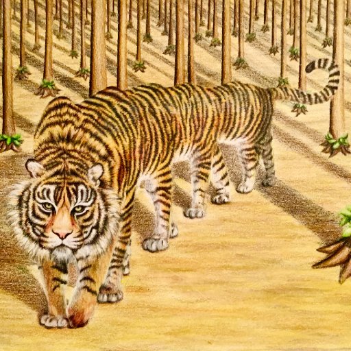 Ten Foot Tiger at Crazy Horse