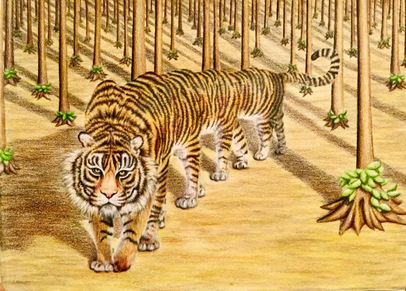 Ten Foot Tiger at Crazy Horse