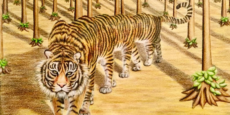 Ten Foot Tiger at Crazy Horse