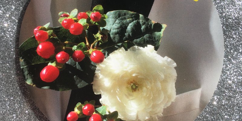 Whiskey Wednesdays w/ The Discount Pills