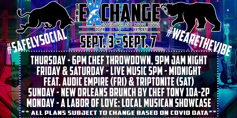 A Labor of Love: Local Musician Showcase