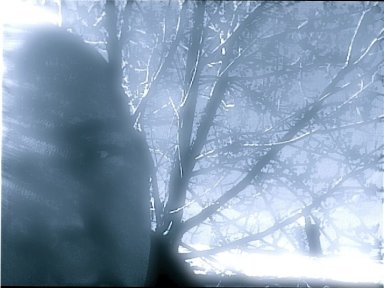 DARK IS THE NEW LIGHT Artwork front