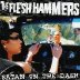 Satan on the Dash Album by THE FLESH HAMMERS