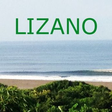 Lizano_background cover 2