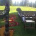 guitar wedding 