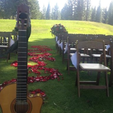 guitar wedding 