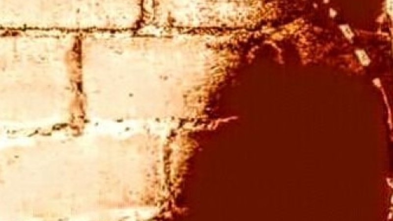 thumb_868070_500_500_0_0_crop