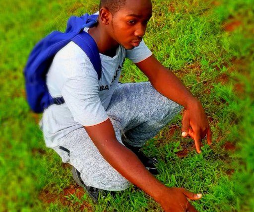 kingice 