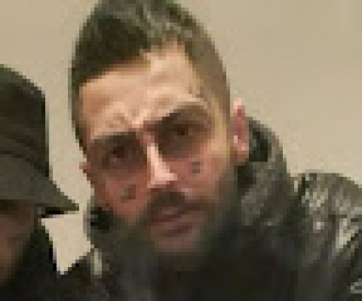 Criminal mastermind