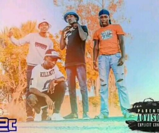 D2C MUSIC BAND 