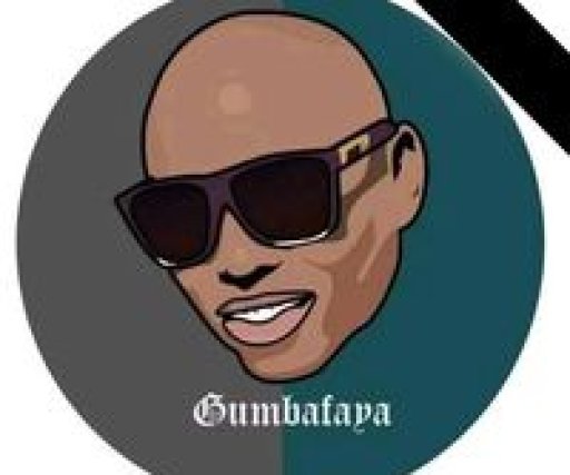 thamzin.faya