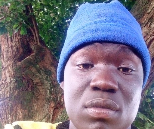 tommymay music