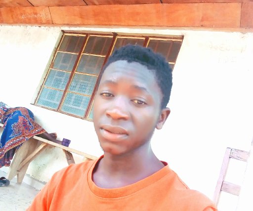 sonfon j