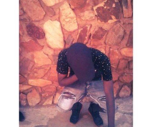 Lil muzie goat The goat