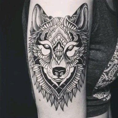 Wolf