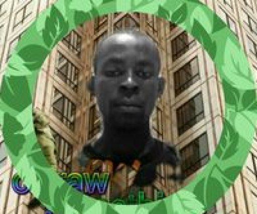 clinton.kingson