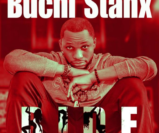 buchi stanx 