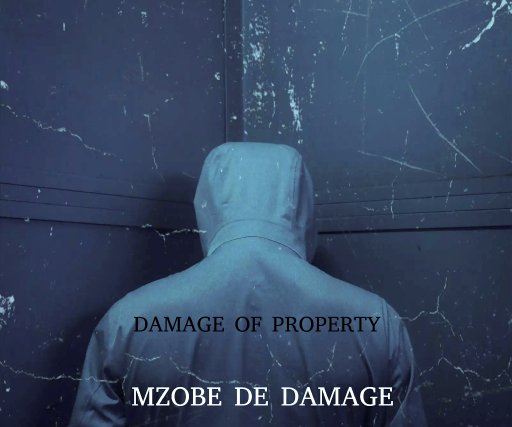 Mzobe De Damage 