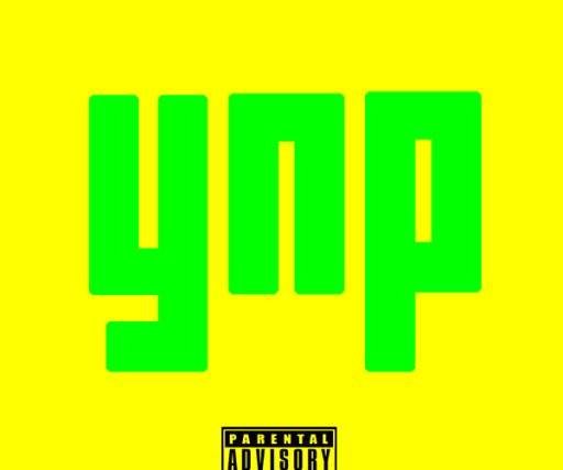 YnpRecords