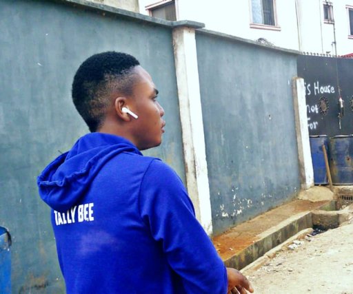 Tally Bee