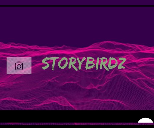 Storybirdz