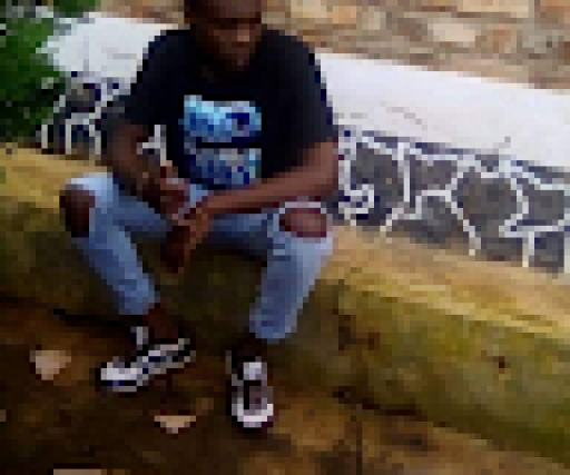 Robison Robert
