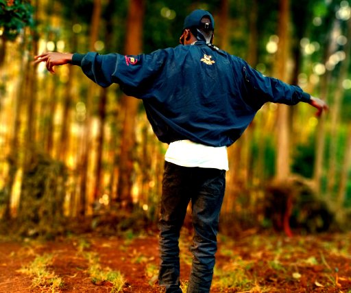 goldmusic official