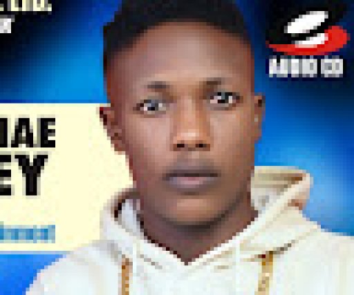 Obosa Tv