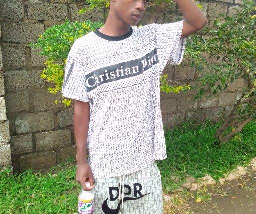 Dizo