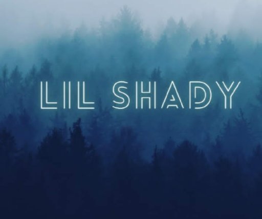Lil Shady 