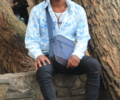 KingNatee 