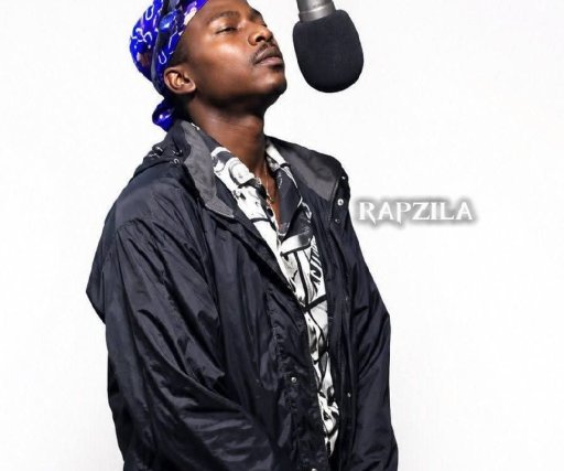 Rapzilamusic