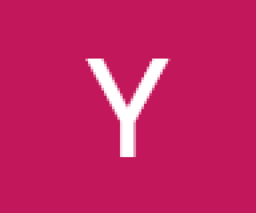 Youngray TheChicagorepresenter