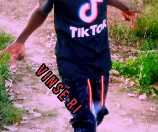 Vince rey Vince rey