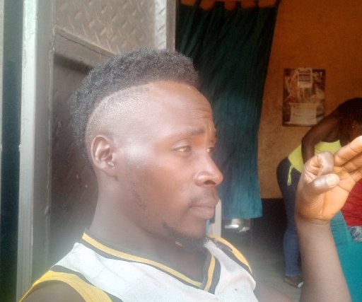 Able N vis (International)