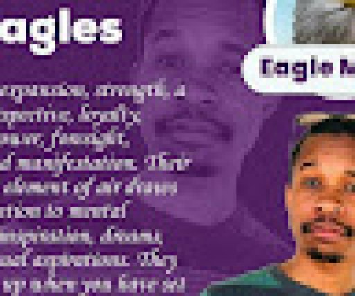 brian ncube