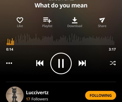 Luccivertz