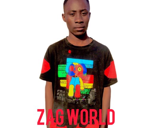 zag world