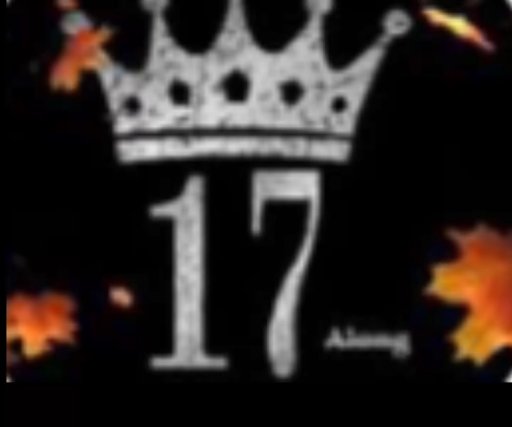 17along