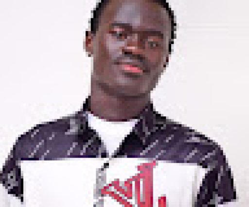 Ayam Polse Willis