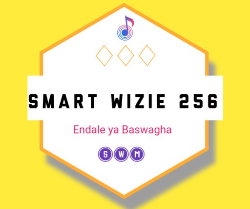 smart wizie256