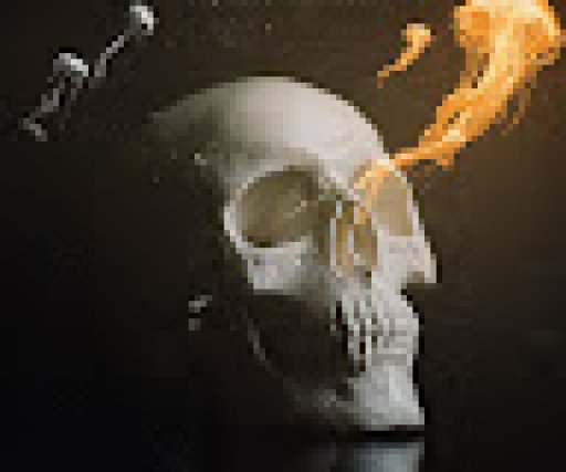 kudos boy le boucantier