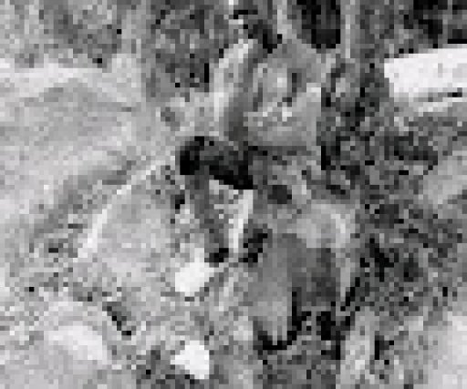 Maru mark stephen justine