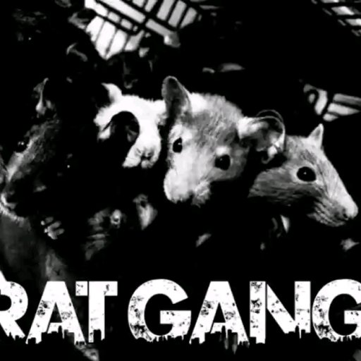 Ratgang Bass