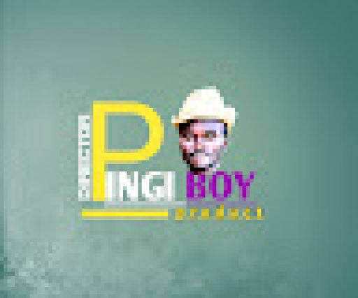 Official Pingi Boy