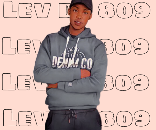 Lev de 809
