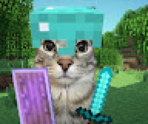 MineEnsinar J&aacute;