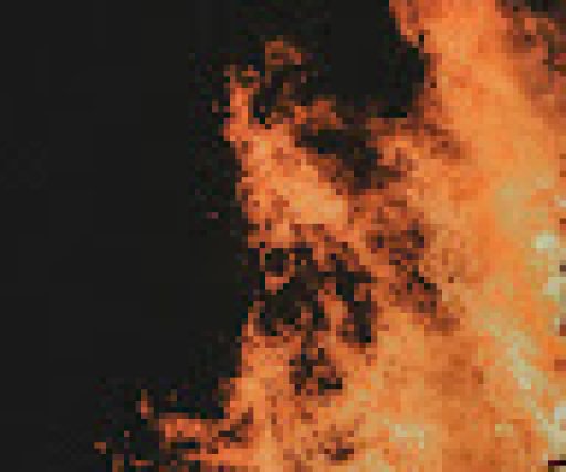 Mauricio Alberto J&uacute;lio Francisco De Almeida