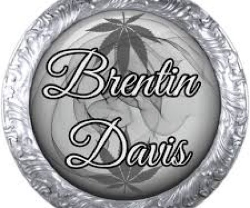 Brentin Davis